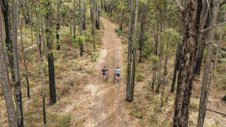 Dwellingup Mountain Bike Trail Mountain Bike Trail