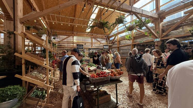 Go market shopping at OZCF Go market shopping at OZCF