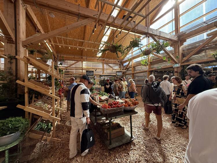 Go market shopping at OZCF Go market shopping at OZCF