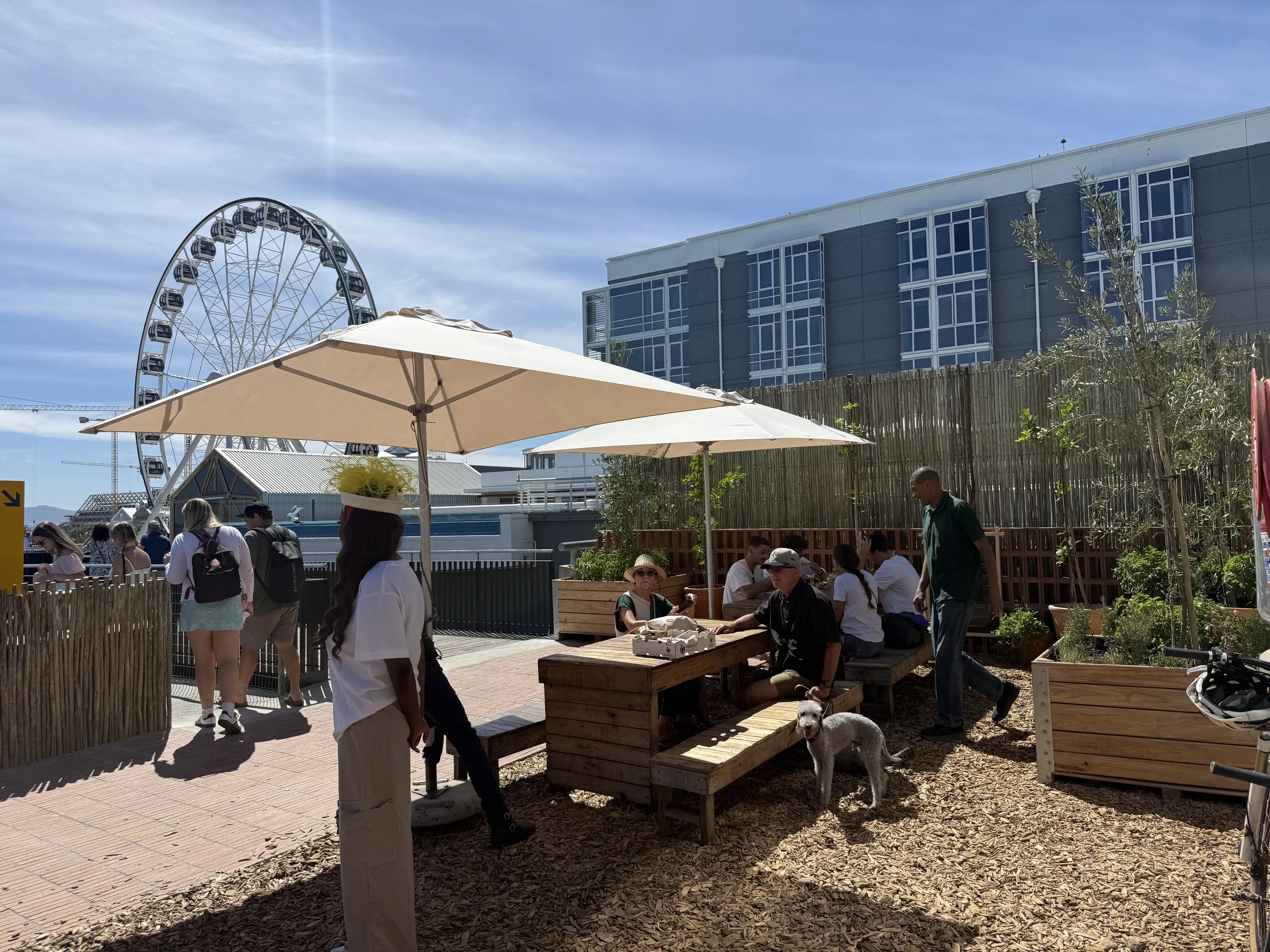 Oranjezicht Market Blueprint: Why SA needs hundreds more farmers’ markets