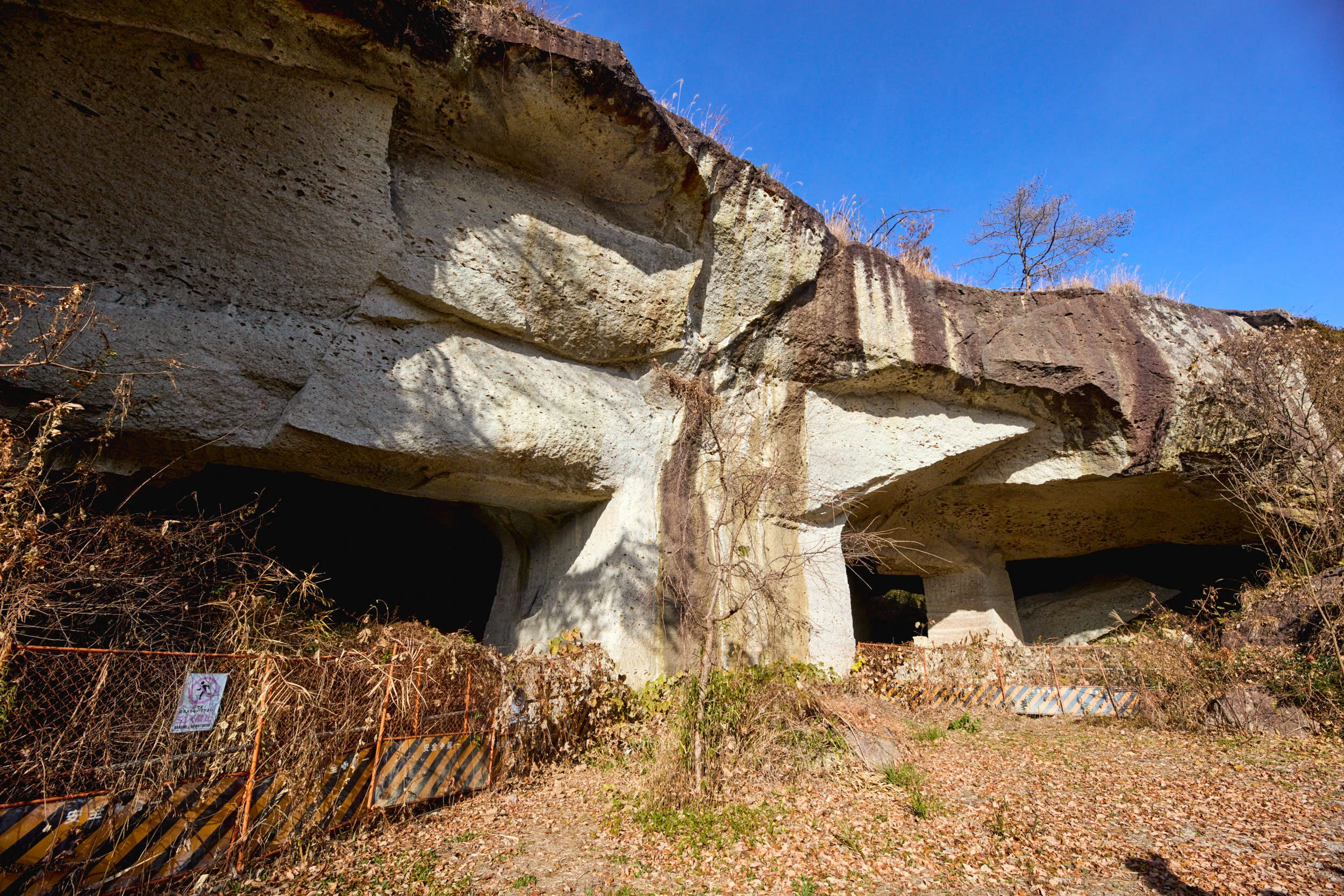 大谷グランド・センター