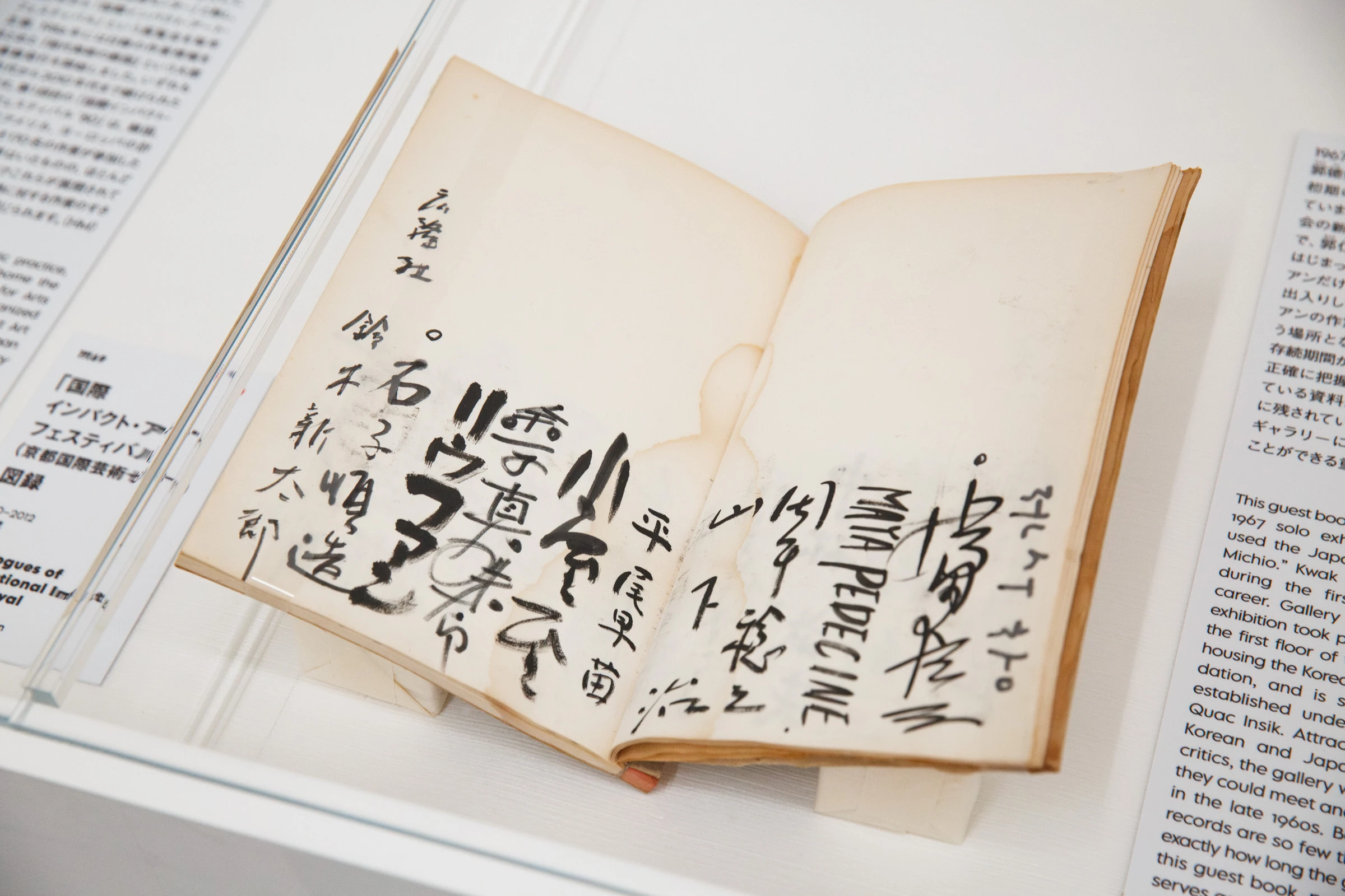 いつもとなりにいるから 日本と韓国、アートの80年