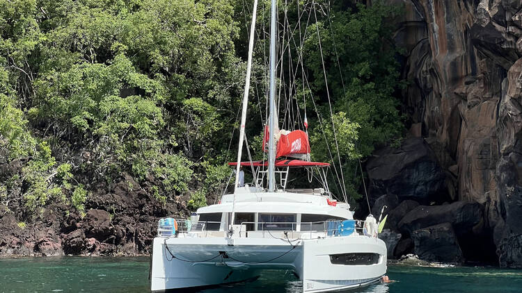 Enjoy a catamaran adventure