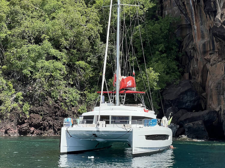 Enjoy a catamaran adventure