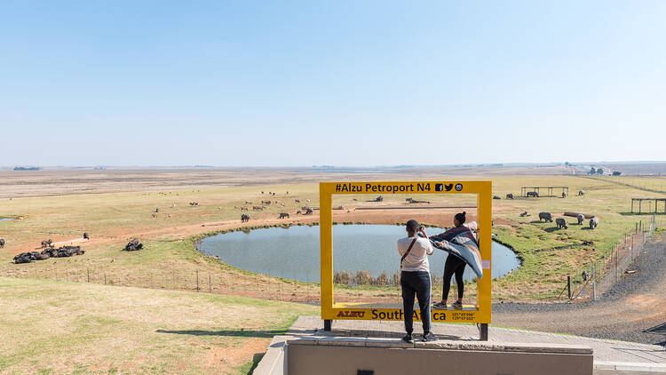 The best road trip pitstops in South Africa