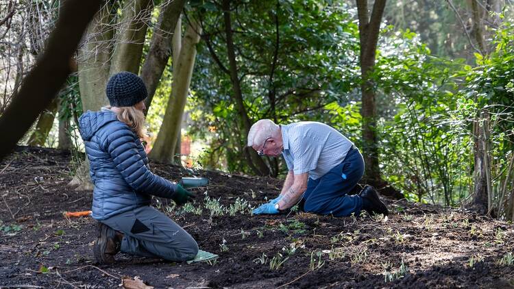 Royal Hospital Chelsea