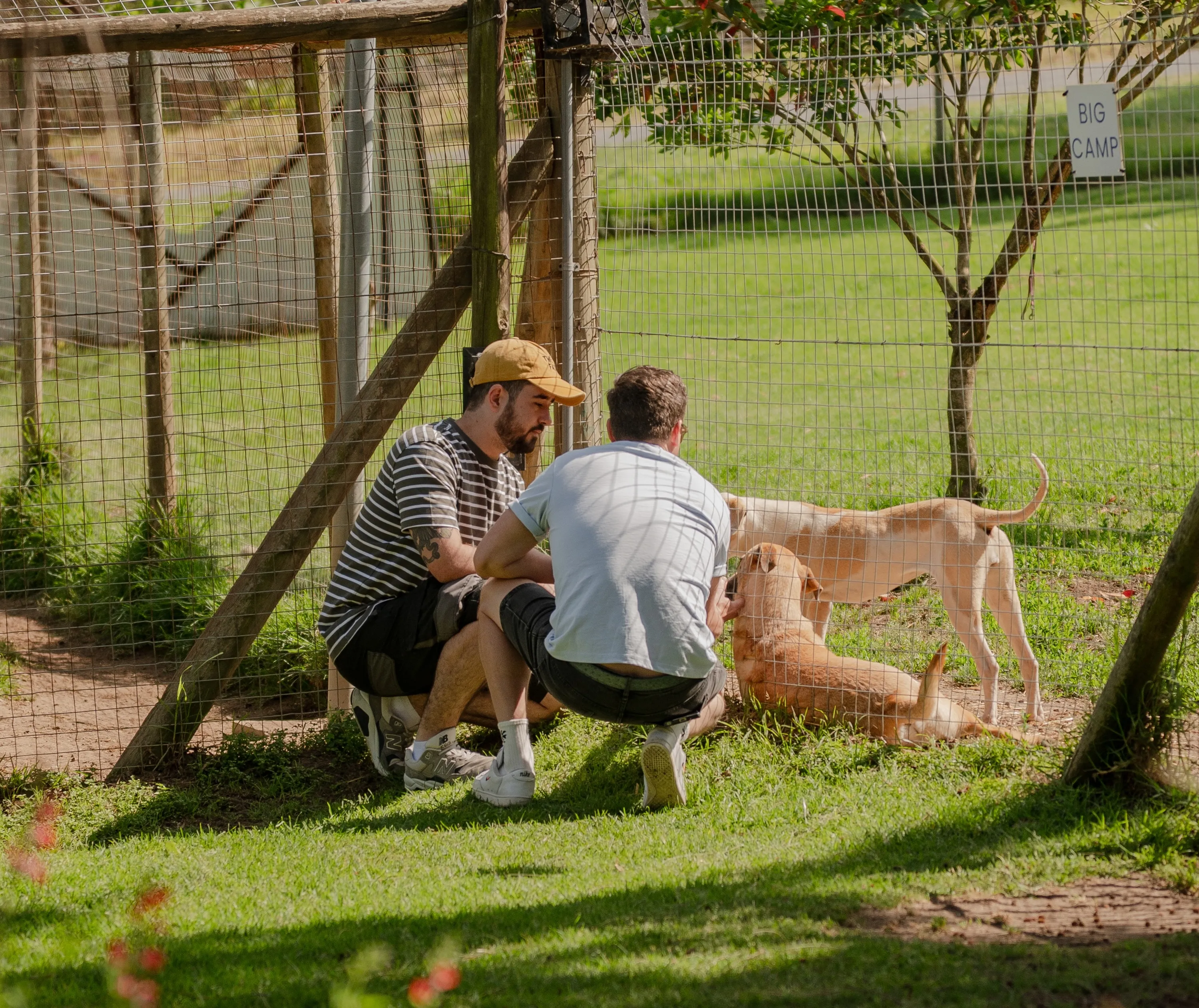 DUSK, Manley Communications.