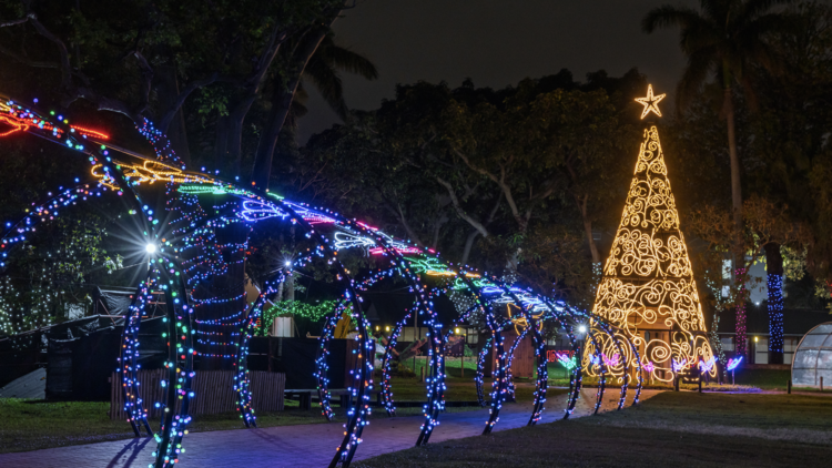 Durban Botanic Gardens