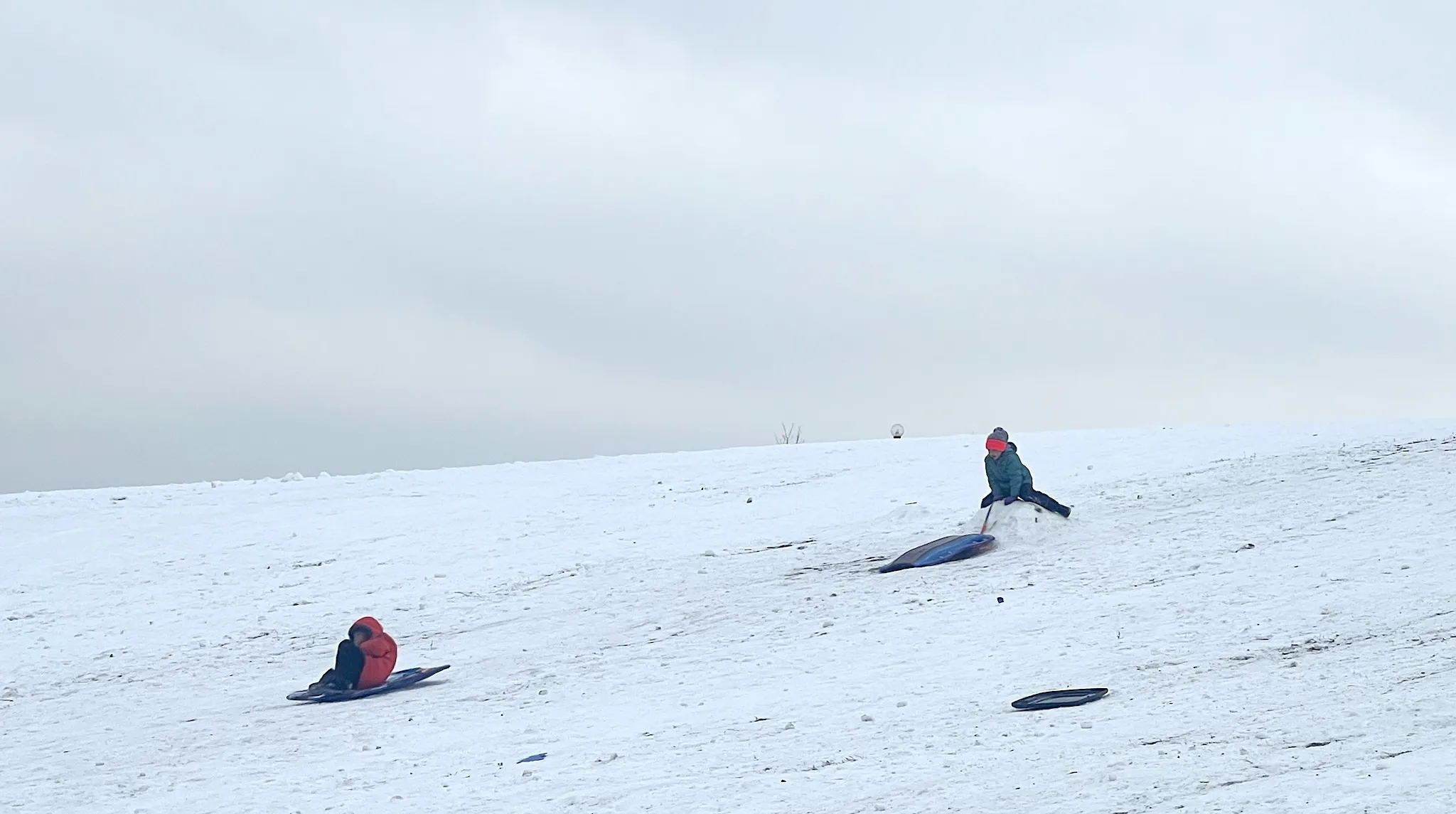 Sledders at Palmisano Park