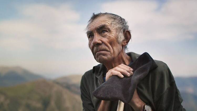 The Shepherd and the Bear