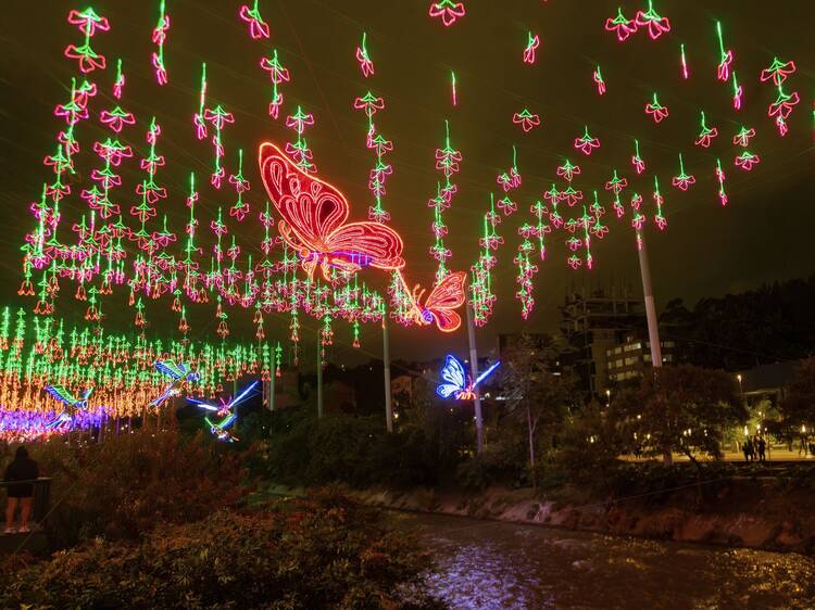 Navidad en Medellín: viaja y descubre lo que este destino tiene por ofrecer