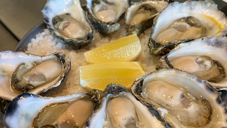 Mister Grotto Oysters at Mister Grotto