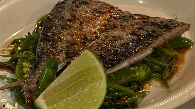 Mister Grotto A fish dish at Mister Grotto