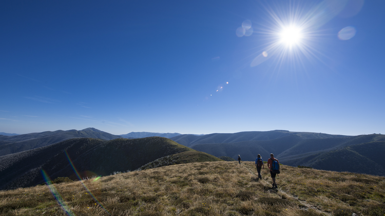 Mount Feathertop via the Razorback walk Mount Feathertop via the Razorback walk