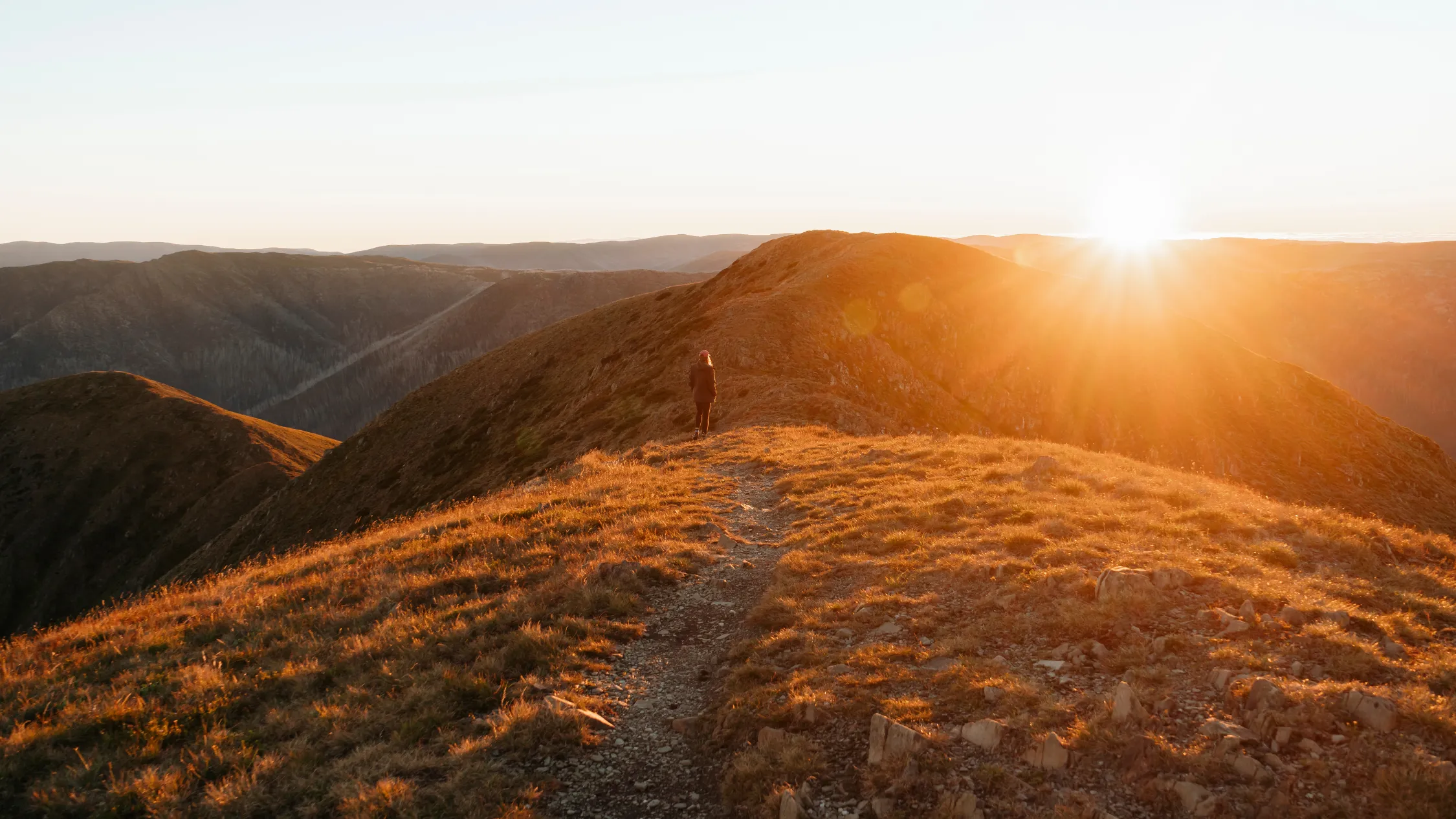  Mount Feathertop via the Razorback walk