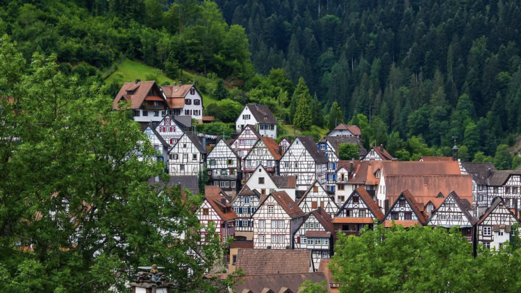 ジョナス・メカス this side of paradise （楽園のこちら側） ジョナス・メカス this side of paradise （楽園のこちら側） 【公式通販】