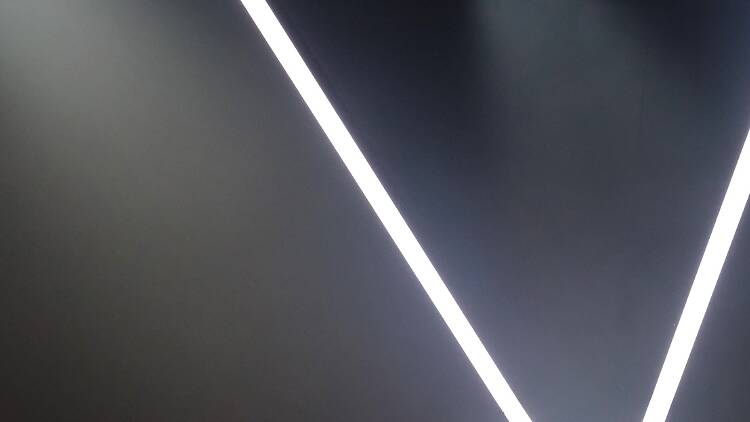 La vida extraordinaria