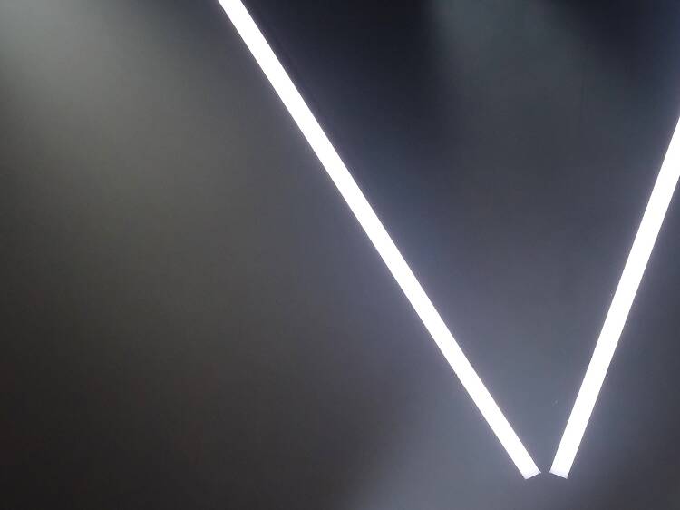 La vida extraordinaria