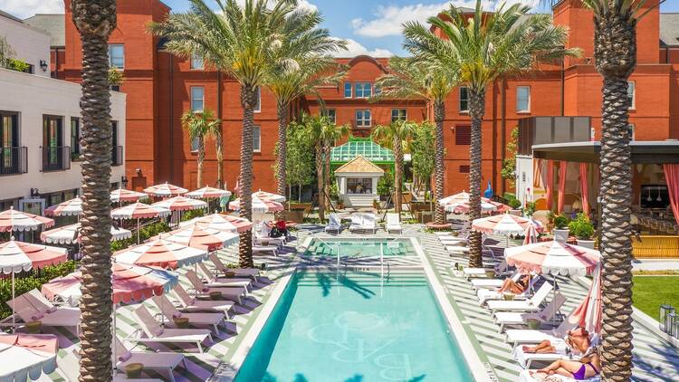 Hotel Bardo Savannah