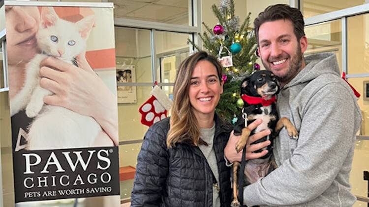 A PAWS pup with their new forever family. A PAWS pup with their new forever family.