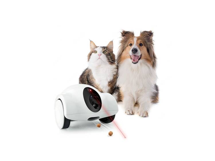 Cámara de vigilancia