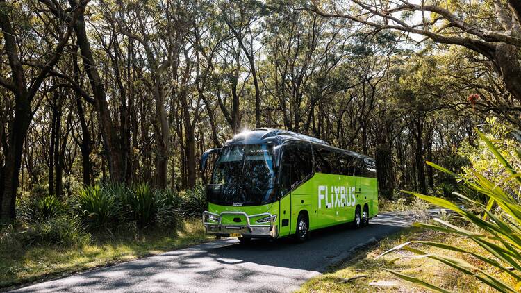 FlixBux Green bus in bush