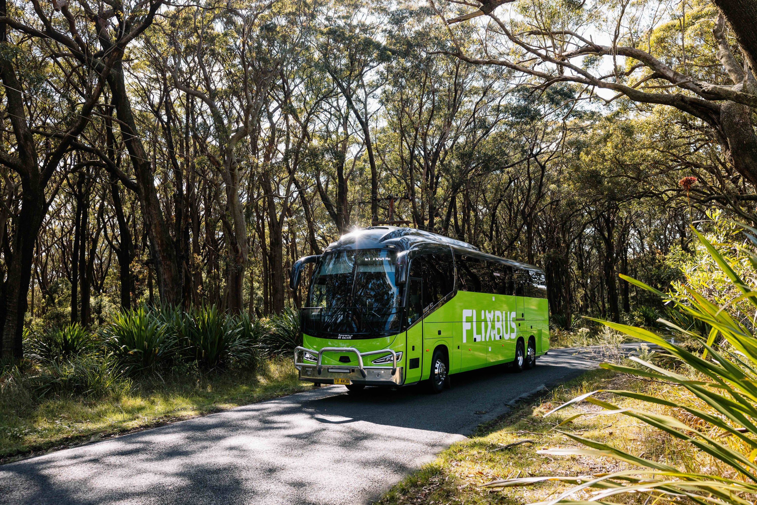 FlixBus to launch Sydney-Brisbane & Brisbane-Cairns with $10 fares