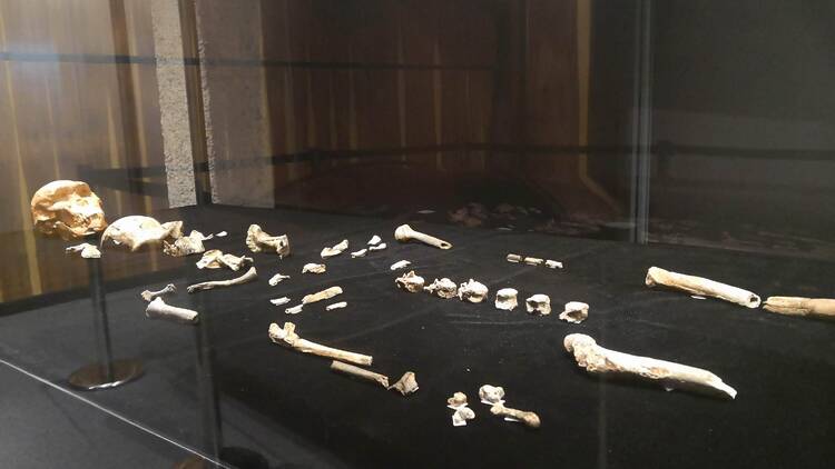 One of the world's richest archaeological sites One of the world's richest archaeological sites