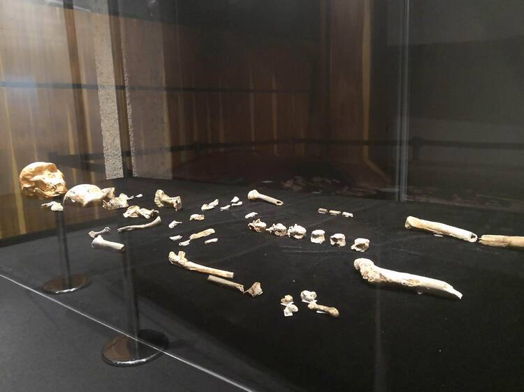 One of the world's richest archaeological sites One of the world's richest archaeological sites