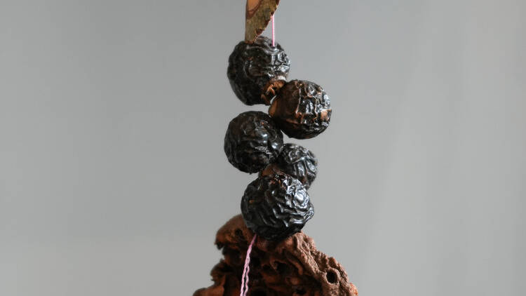 Sara Ananrojwong Sara Ananrojwong