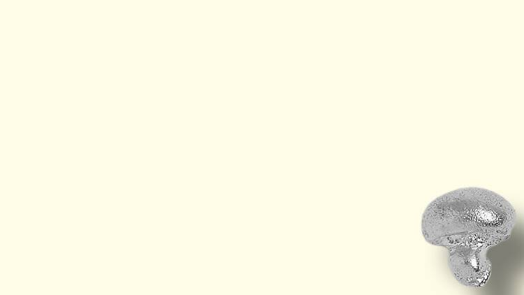 Brinco Juliana Bezerra