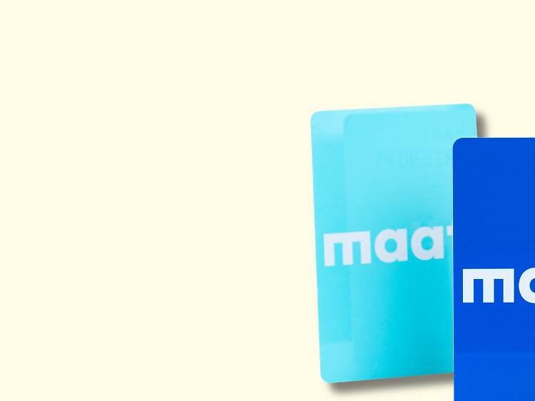 Cartões MAAT Friend