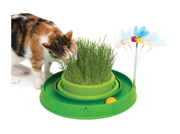 Erva para gato com bola