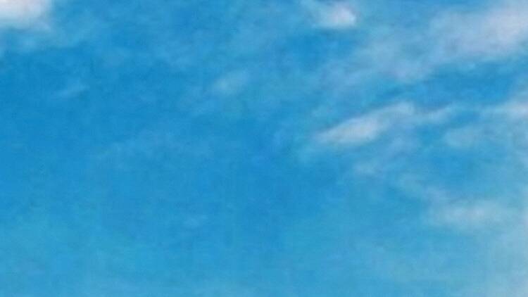 Libros gratis en el Zócalo 2025: el FCE regalará miles de ejemplares Libros gratis en el Zócalo 2025: el FCE regalará miles de ejemplares