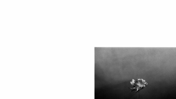 Little Simz – Lotus