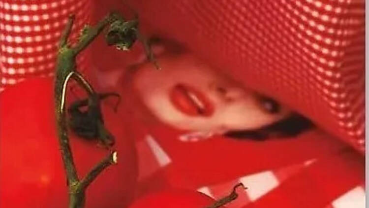 Los Sorrentinos — Virginia Higa Los Sorrentinos — Virginia Higa