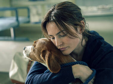 The top 5 films to see at Flickerfest in 2026 The top 5 films to see at Flickerfest in 2026