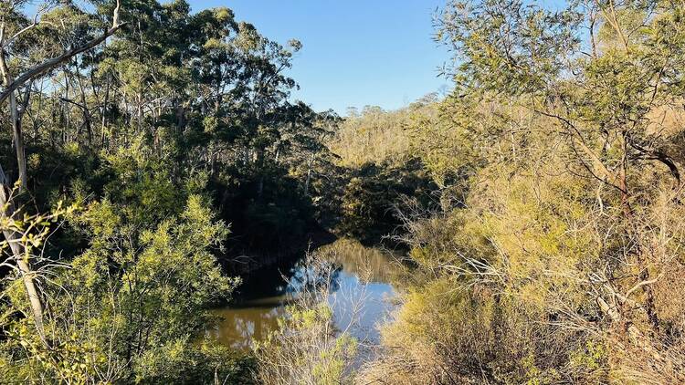 hike in Victoria hike in Victoria