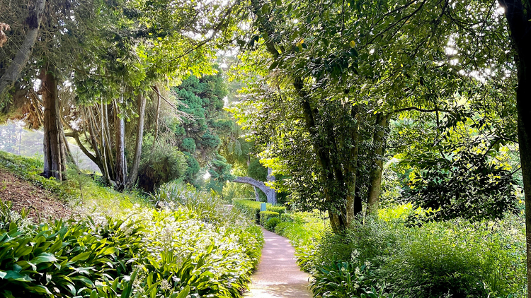Wombat Hill Botanic Gardens in Daylesford Wombat Hill Botanic Gardens in Daylesford.