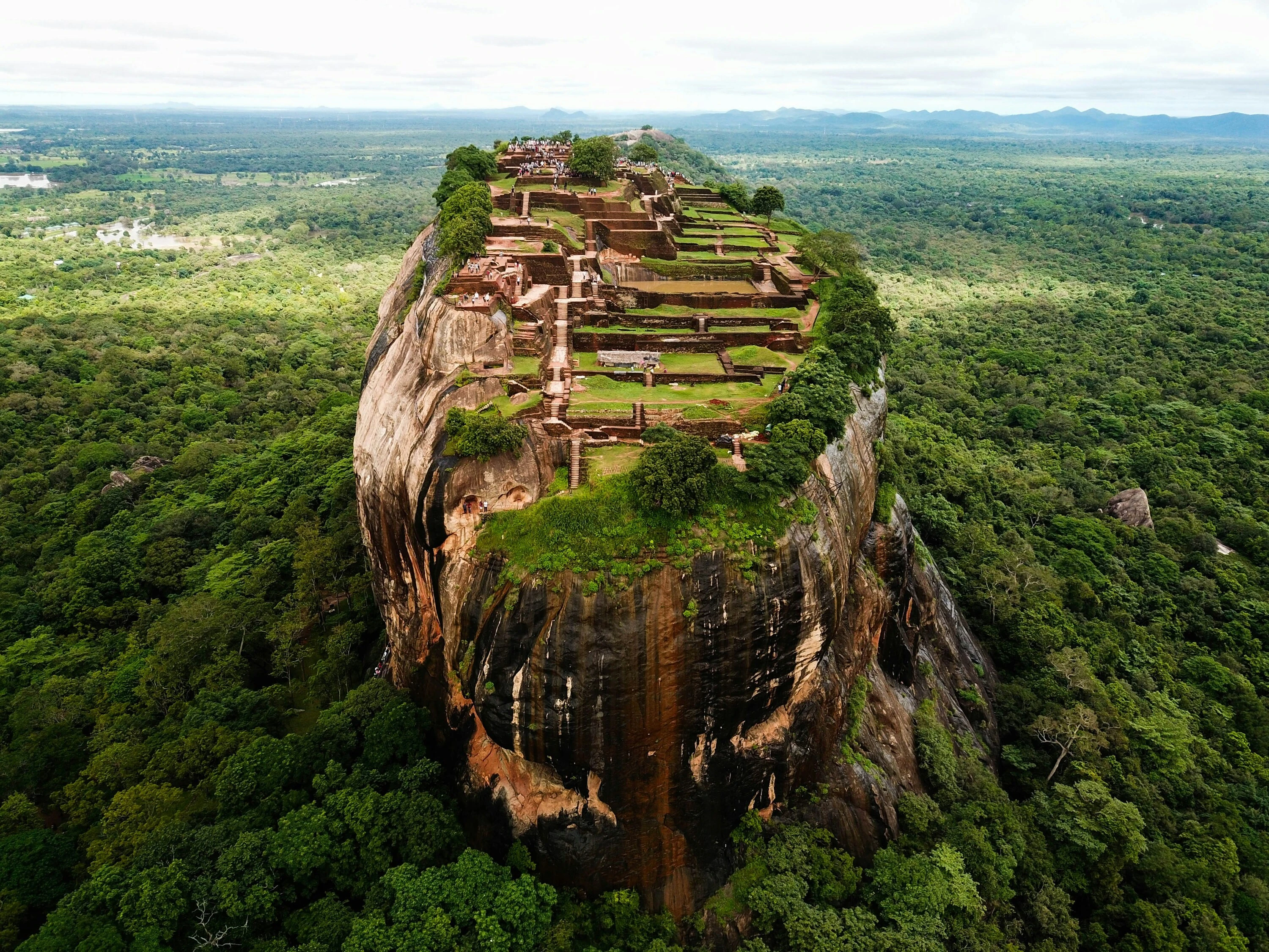 Rock structure in forest