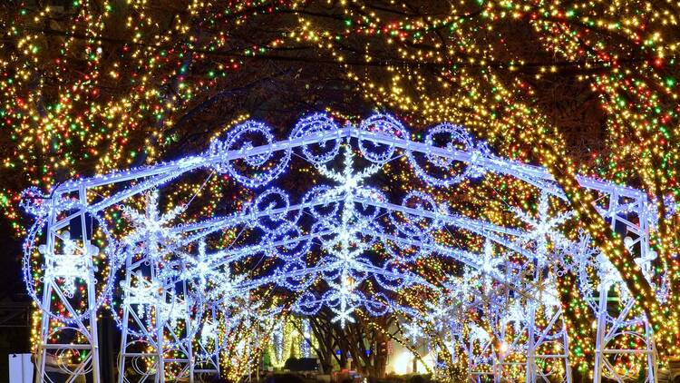 Osaka Hikari-Renaissance