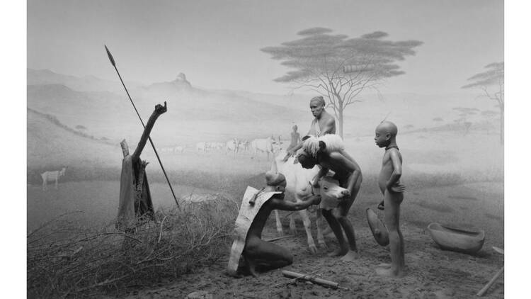 杉本博司 絶滅写真