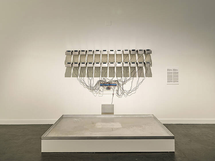 Tirarse es sinónimo de futuro desconocido