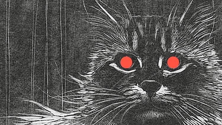 « Nos Bêtes Noires. Diaboliques, mal-aimées, fantasmées » de Julie Delfour