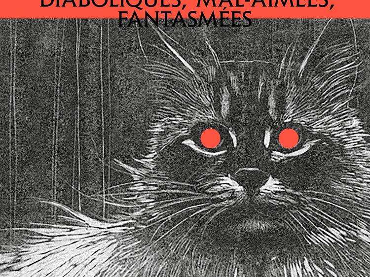 « Nos Bêtes Noires. Diaboliques, mal-aimées, fantasmées » de Julie Delfour