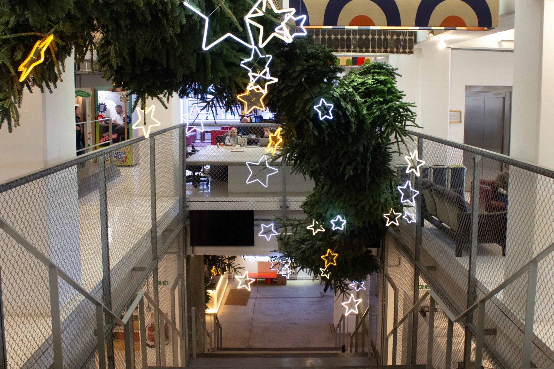 The tallest Christmas tree in London has been unveiled