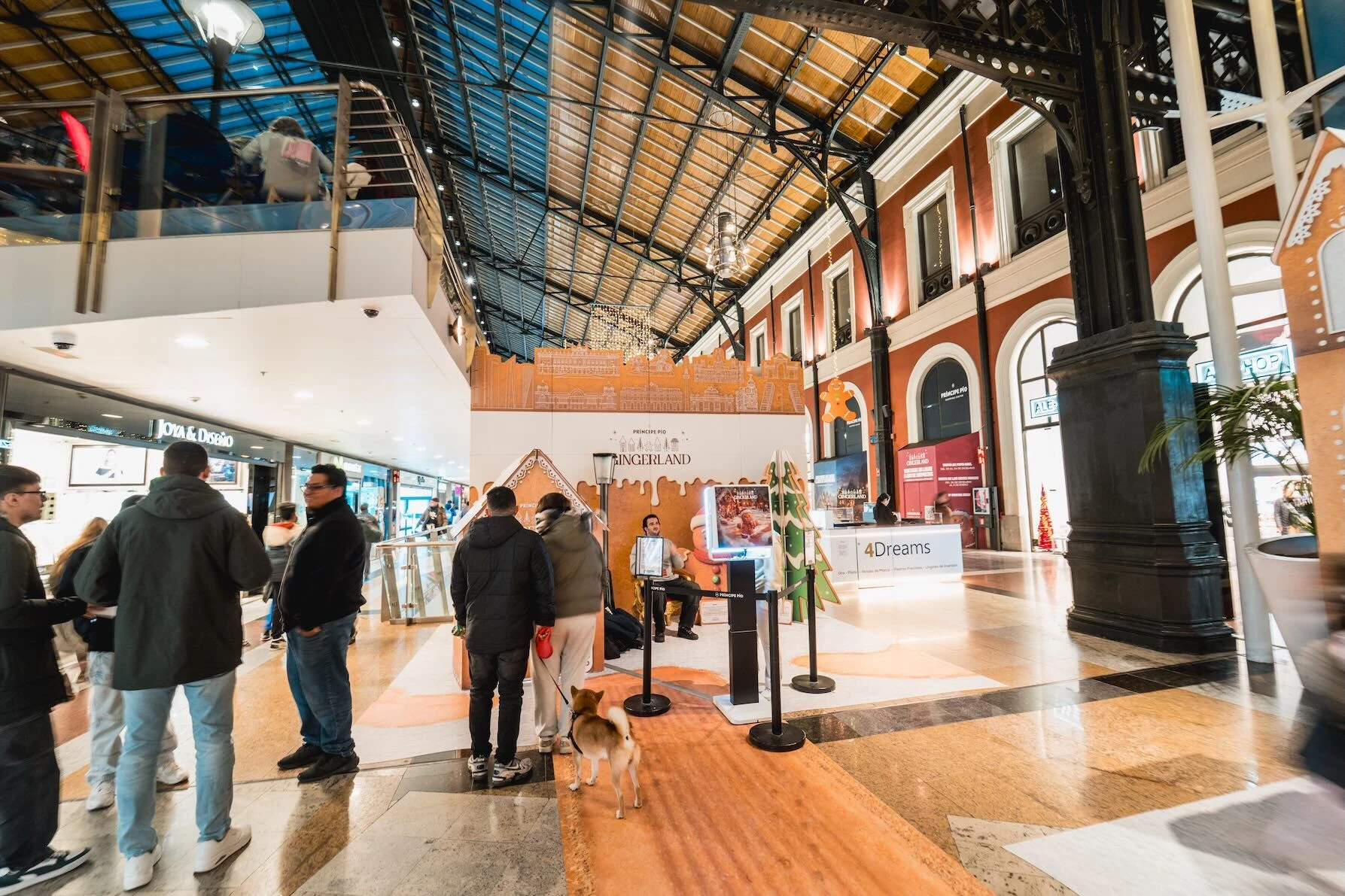 Centro Comercial Pr&iacute;ncipe P&iacute;o. 