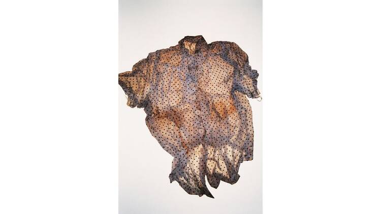 まなざしの奇跡 日本女性写真家の冒険