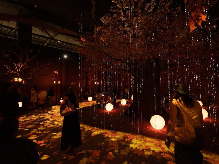 Bloom in Four Seasons