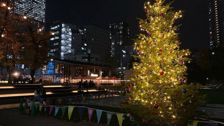 芝生でイルミネーションを楽しむ。